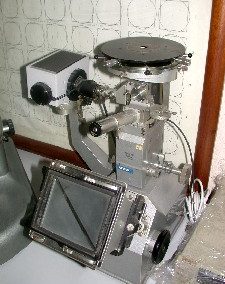 MEF2